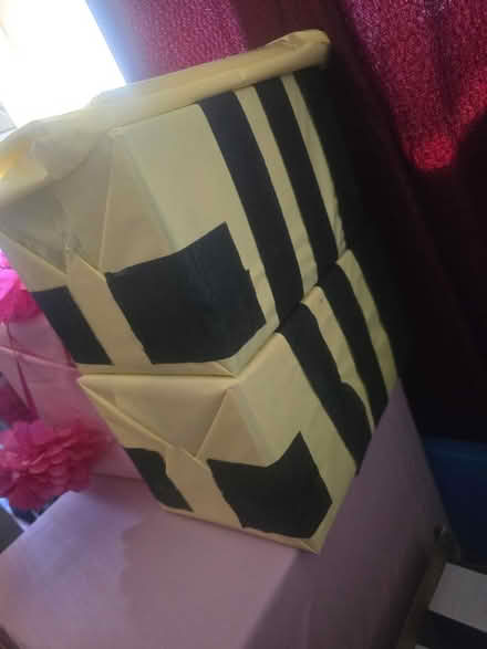 Photo of free Minecraft decorations (Des Plaines il) #2