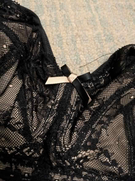 Photo of free Bra 34F Panache no under wire (Heaton) #2
