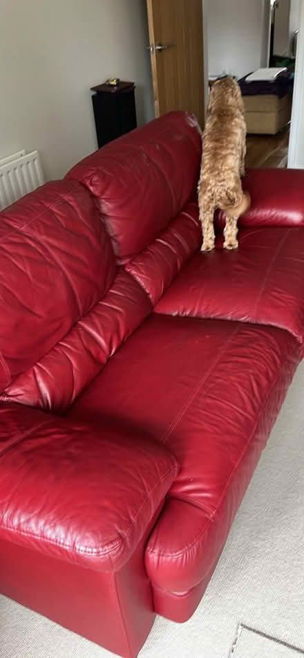 Photo of free Claret Red Leather Sofa & 2 x Matching Chairs (Bomere Heath SY4) #1