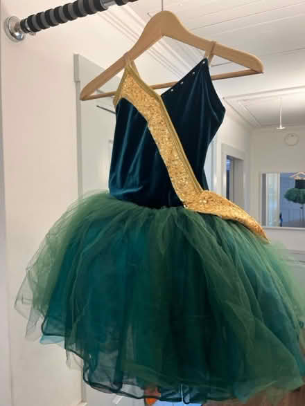 Photo of free ballet dance fairy dress (Lawrence/ El Camino Real) #1