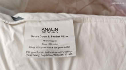 Photo of free ANALIN Goose feather down pillow (Sawston CB22) #1