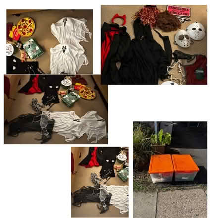 Photo of free Halloween decor and costume pieces (Ambler) #1
