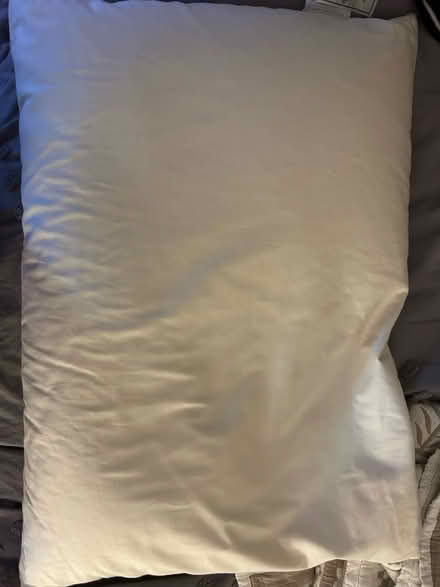 Photo of free 2 bed pillows (Arlington Heights) #1