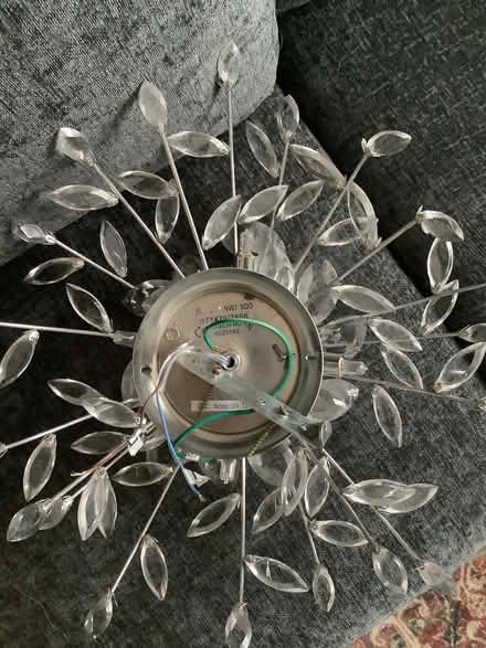 Photo of free Ceiling light (Waldridge Park DH2) #2