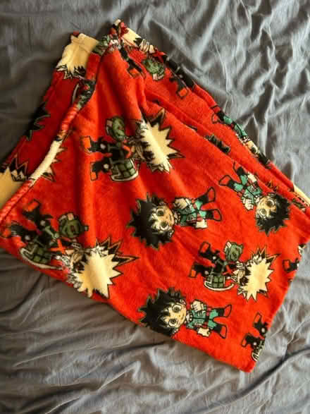 Photo of free Anime blanket (Upper Beeding) #1