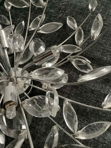 Photo of free Ceiling light (Waldridge Park DH2) #3