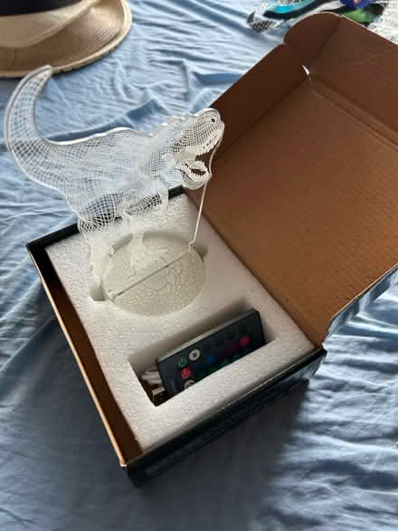 Photo of free 3D Tyrannosaur desk lamp (Upper Beeding) #2