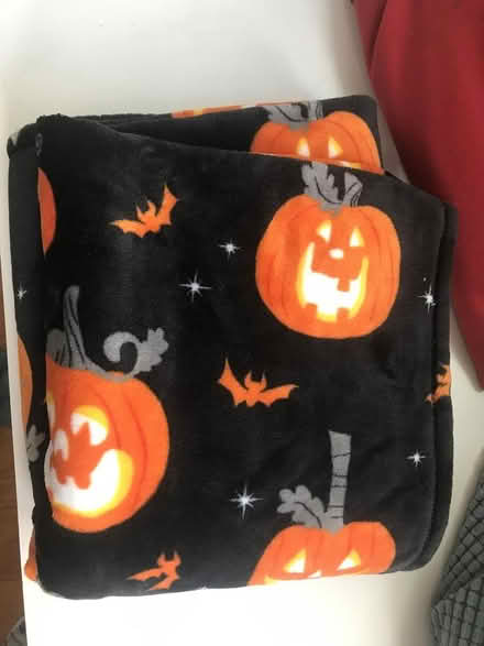 Photo of free halloween blanket (rogers park) #1
