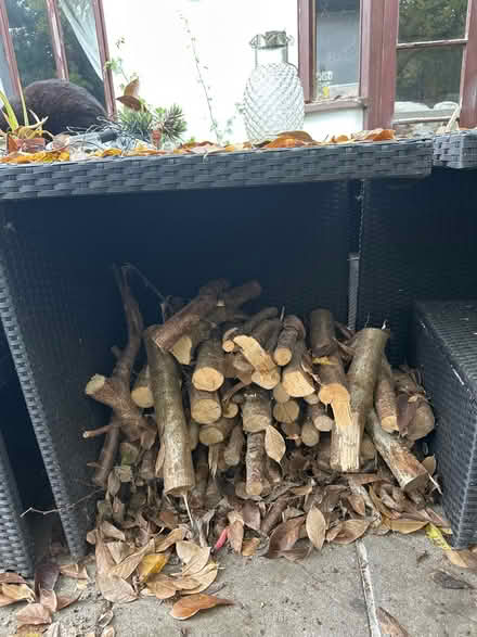 Photo of free Small logs (Sanderstead) #1