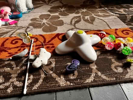 Photo of free Cat / kitten toys (Spondon DE21) #1