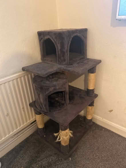 Photo of free Cat tower (Gerrards Cross) #1