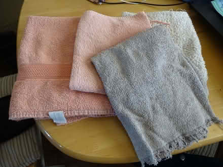 Photo of free 4 Small Old Handtowels (Waterlooville PO8) #1