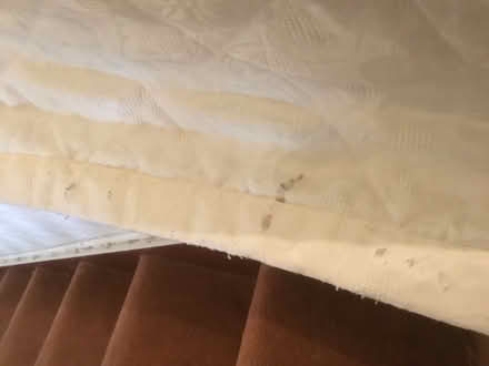 Photo of free Dunelm double bed cover (B62 near Blackheath) #2