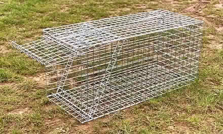 Photo of Animal trap (Holloway road N4) #1