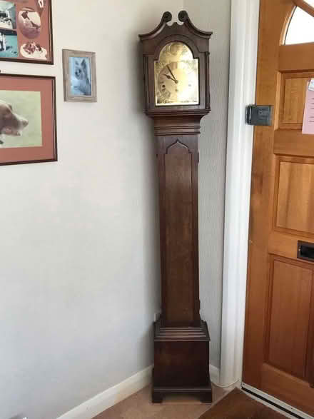 Photo of free Grandmother clock (Kemsing TN15) #1