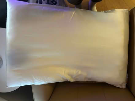 Photo of free 2 bed pillows (Arlington Heights) #4