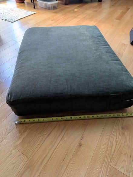Photo of free Two large flat cushions (Old Barrhaven) #1