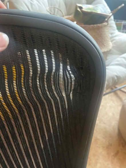 Photo of free Herman Miller desk chair (Bear Flat) #2