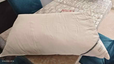 Photo of free ANALIN Goose feather down pillow (Sawston CB22) #2