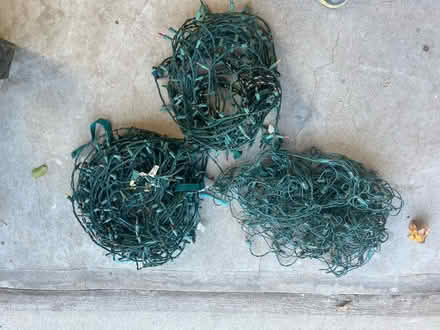 Photo of free Christmas lights (Belle Mead, NJ) #1