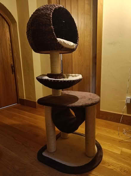 Photo of free Cat tree (Wateringbury ME18) #2