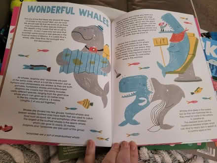 Photo of free Anorak Magazine for children (Skerton LA1) #1