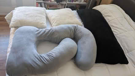 Photo of free Pillows - Body, Square, Maternity (Rosslyn) #4