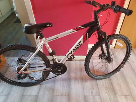 Photo of free Bike (Shoreham by sea BN43) #2