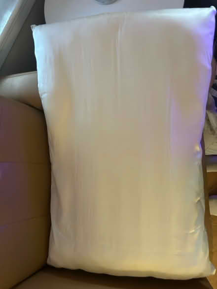 Photo of free 2 bed pillows (Arlington Heights) #2