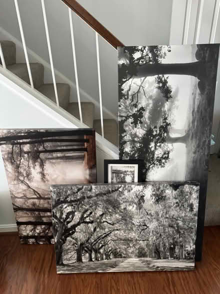 Photo of free Pictures (Alexandria, VA) #1