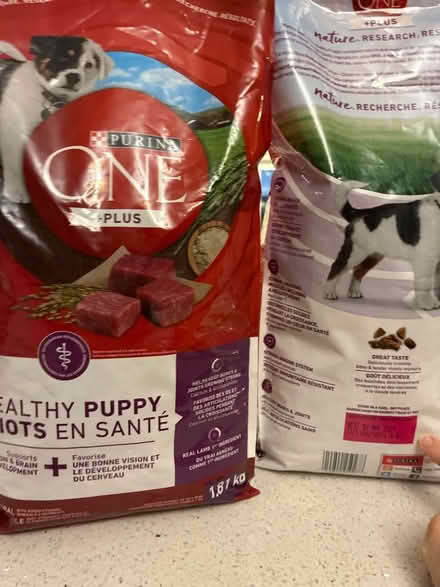 Photo of free Expired puppy food (Kingston & Morningside) #1
