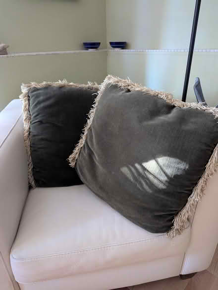 Photo of free Forest green pillows (Old Barrhaven) #1
