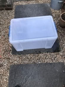 Photo of free Large plastic storage box (Westerton) #2