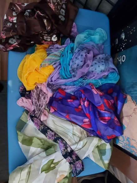 Photo of free scarves (little ferry) #1