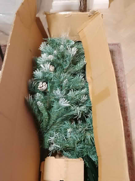 Photo of free xmas tree (CO15) #1