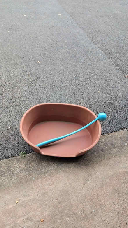 Photo of free Dog bed and ball thrower (Priory Ward EX2) #1