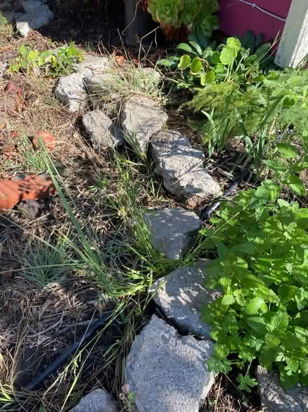 Photo of free Lots of urbanite concretechunks (Ashby & Sacramento) #1