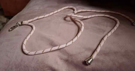 Photo of free Mobile phone single clasp lanyard (Henley-on-Thames RG9) #1