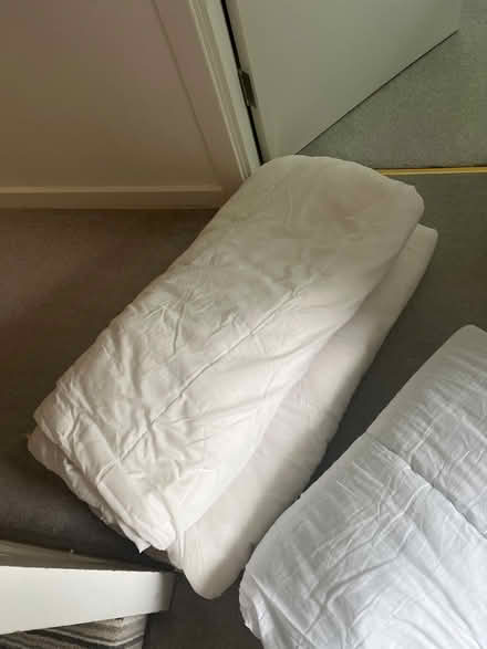 Photo of free Duvet (Kirkby lonsdale) #1