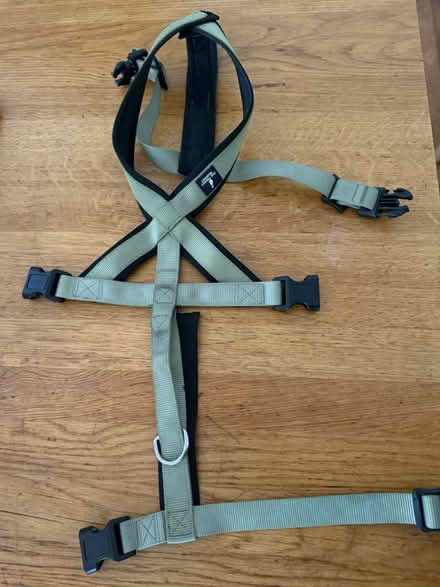 Photo of free L/XL trendy Whippet Harness (Rahn Rd CM16) #1