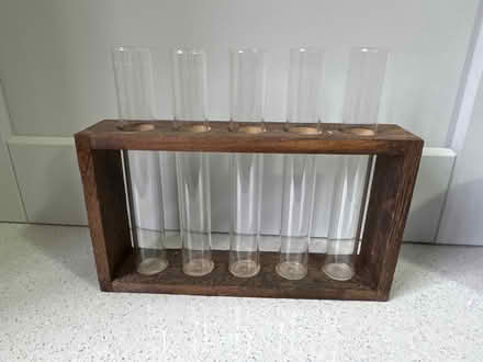 Photo of free Test tube house plant propagation (Coalpit Heath BS36) #1