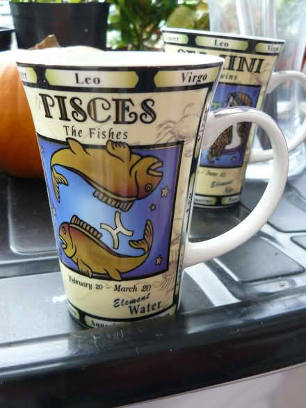 Photo of free Pisces star sign design mug (Kempsey WR5) #1