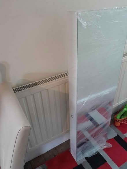 Photo of free Full length mirror (Newham E15 4) #1