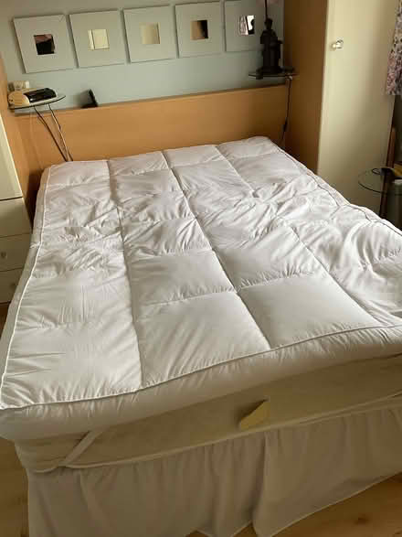 Photo of free Goose Topper (Worcester WR2) #2