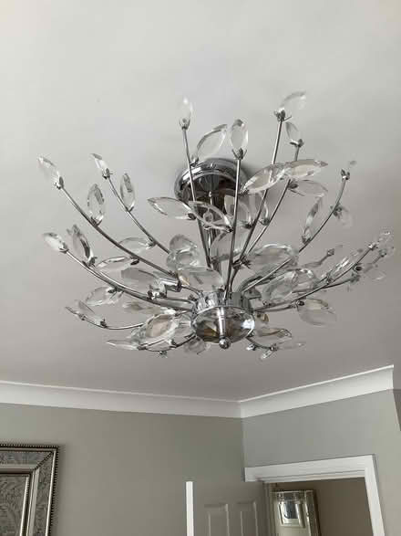 Photo of free Ceiling light (Waldridge Park DH2) #1