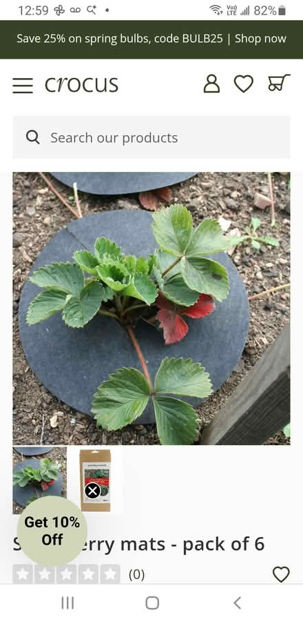 Photo of free Strawberry mats (Belper Whitemoor area DE56) #2