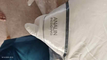 Photo of free ANALIN Goose feather down pillow (Sawston CB22) #3