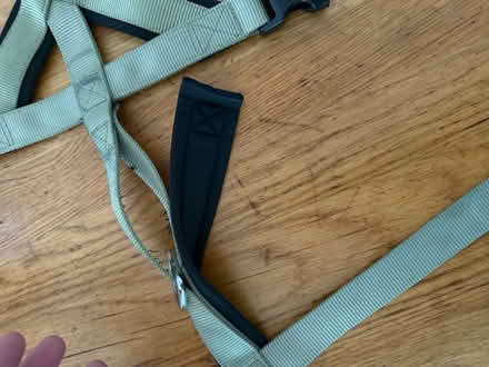 Photo of free L/XL trendy Whippet Harness (Rahn Rd CM16) #2
