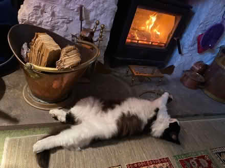 Photo of Wooden Clothes Maiden (Silverdale) #2