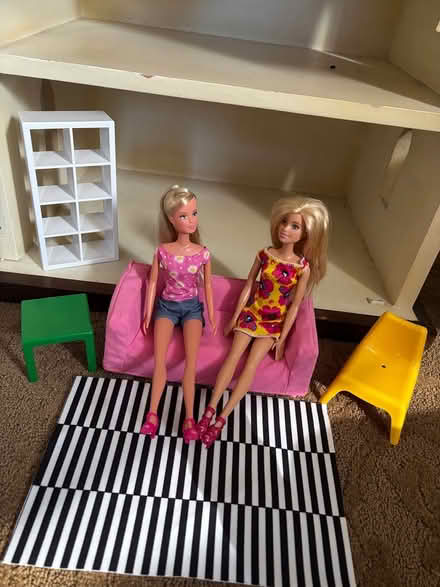 Photo of free Barbie’s and Calico Critters (Georgetown) #2